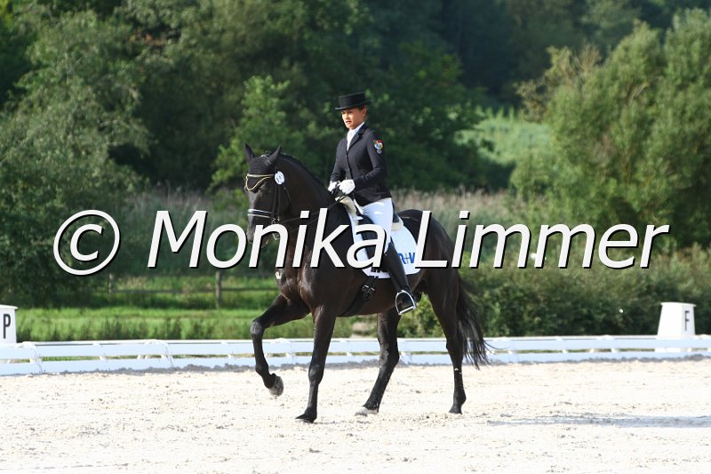 109M8897_Waldenser_Dressur Mxx_Youngster Cup.JPG